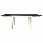 Mariposa CO Gathering Table